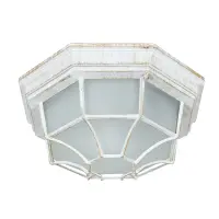 Уличный потолочный светильник Arte Lamp PEGASUS A3121PF-1WG