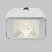 Трековый светильник Technical TR100-2-2W4K-S-W
