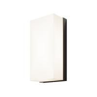 Уличный настенный светильник Outdoor O454WL-L10GF3K