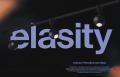 Гибкая трековая система ELASITY Гибкая трековая система ELASITY