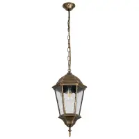 Уличный подвесной светильник Arte Lamp GENOVA A1204SO-1BN