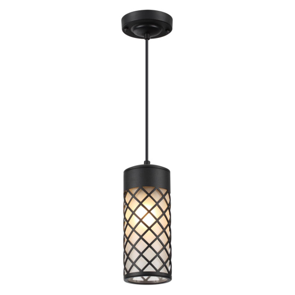 4834/1 NATURE ODL21 706 черный/стекло Ландшафтный светильник-подвес E27 1*60W IP44 DUNES