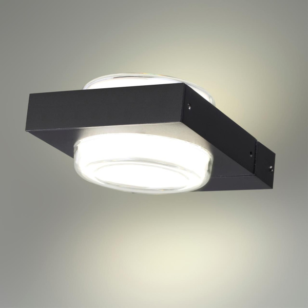 6654/6WL NATURE ODL24 000 черный/металл Уличный настенный светильник IP54 LED 6W 4000K AC85-265V VART