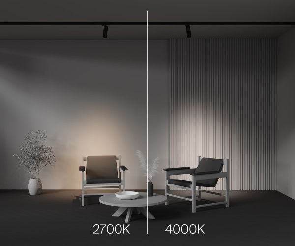 Трековый светильник Technical TR198-3-20W2.7K-Z-B