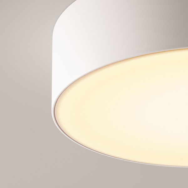 Уличный потолочный светильник Outdoor O431CL-L30W3K